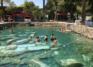 Fatih Döneminde Osmanlı Resim Sanatının Gelişimi ve Batı Etkisi