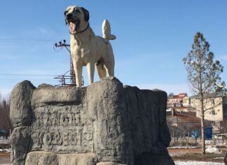 Konstantinos Döneminde Kentin Yeniden İmarı